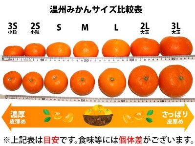 ZA95018_田村みかん 約5kg（Mサイズ）【紀州グルメ市場】