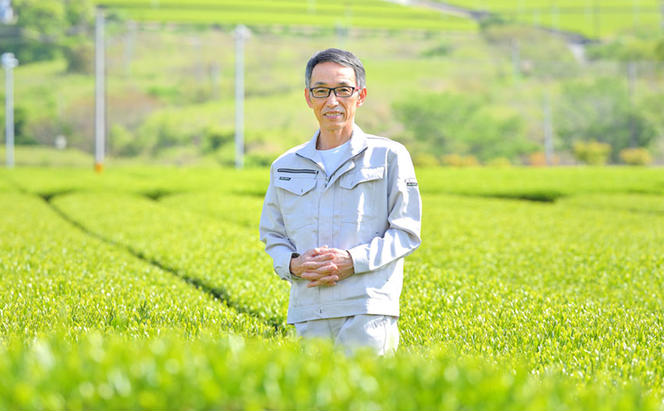 世界緑茶コンテスト銀賞受賞茶【オクミドリ】100g×3袋