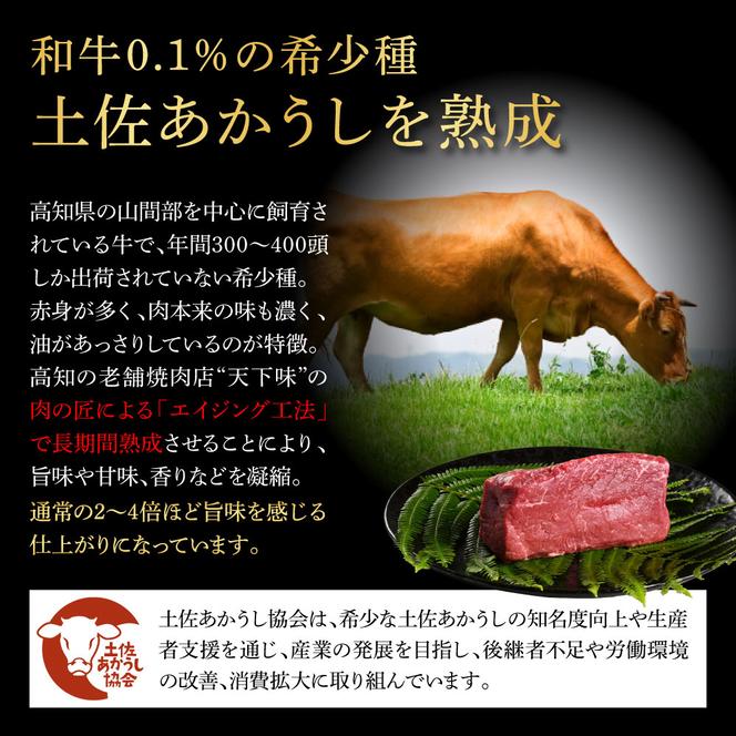 TKA227　天下味 エイジング工法 熟成肉 土佐あかうし 特選ヒレ サイコロステーキ 250g エイジングビーフ 国産 あか牛 赤牛 牛肉 和牛 冷凍配送 真空パック お祝い 高知 芸西村 贈り物 贈答 ギフト