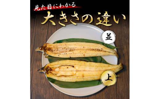 KGP043　高知ブランド鰻「西岡うなぎ」《上》うなぎの蒲焼き・白焼き2尾セット（約330g） オリジナルタレ・山椒付き 国産 ウナギ 鰻 冷凍配送 高知県産 うな重 丼 大きい 自宅用 家庭用