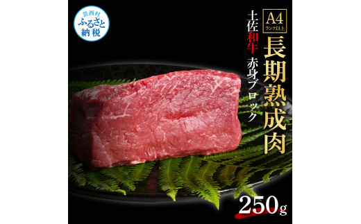 TKA228　天下味 エイジング工法 熟成肉 土佐和牛 特選 赤身ブロック 250g エイジングビーフ 国産 牛肉 土佐 和牛 冷凍配送 真空パック お祝い 高知 芸西村 贈り物 贈答 ギフト