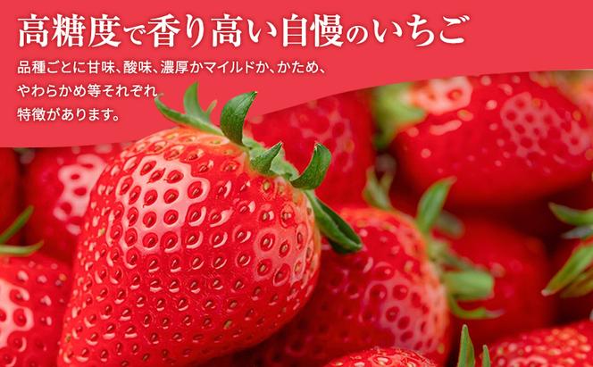 【予約販売】当園自慢の甘い採れたていちご2パック　