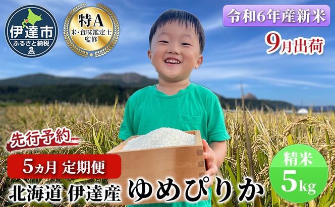 生産者 直送  5ヵ月 定期便【令和6年度】 北海道 伊達産 ゆめぴりか 5kg 精米