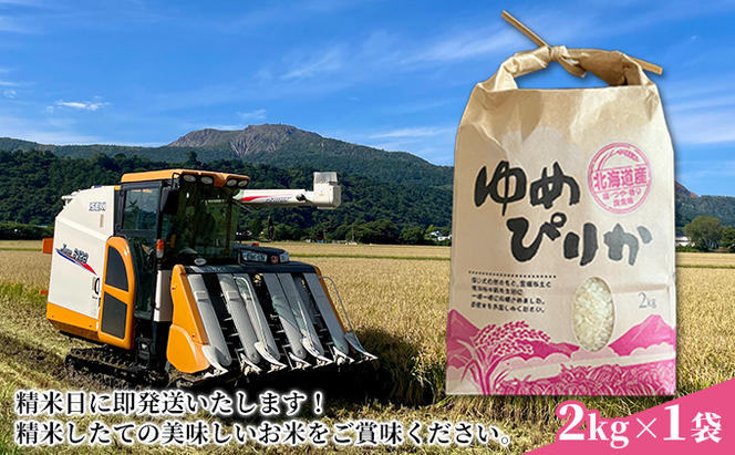 生産者 直送  4ヵ月 定期便【令和6年度】 北海道 伊達産 ゆめぴりか 2kg 精米