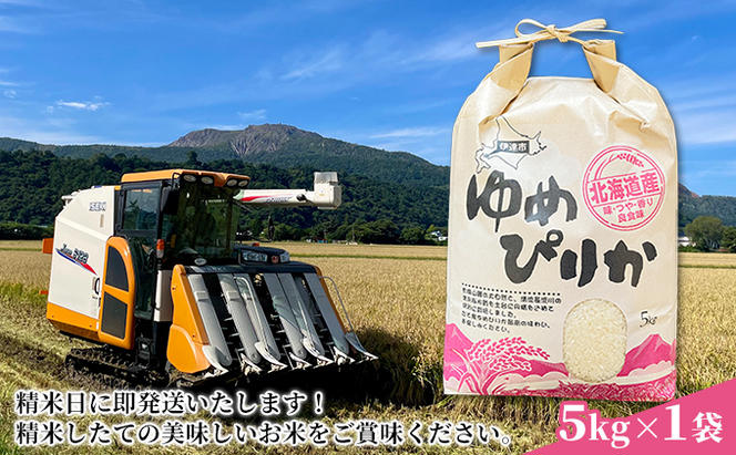 生産者 直送  2ヵ月 定期便【令和6年度】 北海道 伊達産 ゆめぴりか 5kg 精米