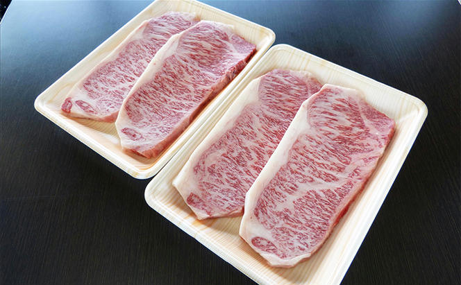 牛肉 飛騨牛 サーロイン ステーキ セット 1kg（1枚 約250g×4枚 ） 黒毛和牛 A5 美味しい お肉 牛 肉 和牛 サーロインステーキ 【岐阜県瑞穂市】