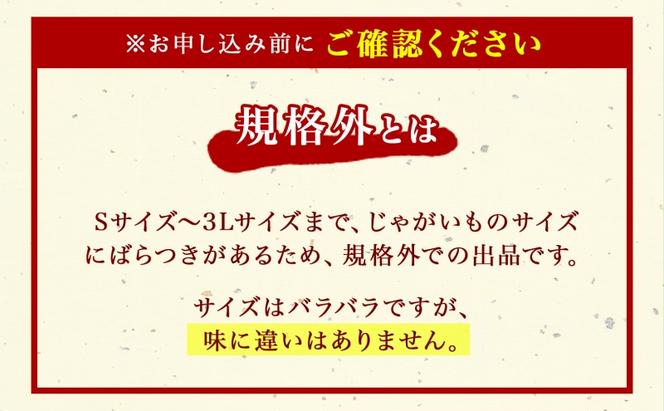 北海道産 じゃがいも きたあかり 5kg 規格外 訳あり S-3L サイズ混合 新じゃが 芋 ジャガイモ いも 野菜 農作物 お取り寄せ キタアカリ馬鈴薯 ニセコファーム 送料無料 北海道 倶知安町