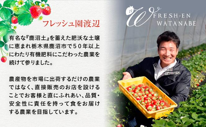 つる付き とちあいか 4パック（12月下旬～1月上旬発送） いちご 果物 フルーツ 苺 イチゴ くだもの 朝取り 新鮮 美味しい 甘い