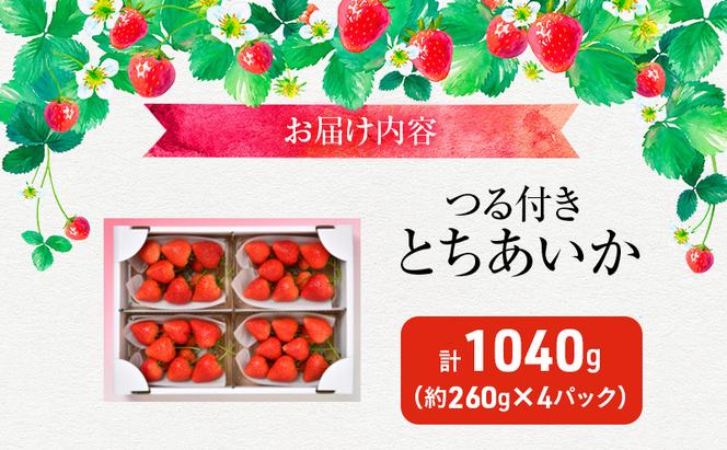 つる付き とちあいか 4パック（1月中旬～1月下旬発送） いちご 果物 フルーツ 苺 イチゴ くだもの 朝取り 新鮮 美味しい 甘い