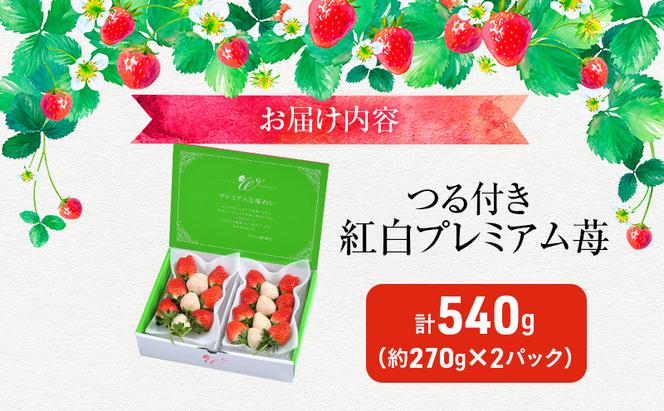 つる付き 紅白プレミアム苺 2パック （11月下旬～12月中旬発送） とちあいか ミルキーベリー いちご 果物 フルーツ 苺 イチゴ くだもの 朝取り 新鮮 美味しい 甘い