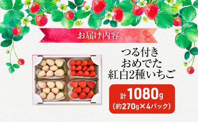 おめでた紅白2種いちご 4パック （11下旬～12月中旬発送） いちご 果物 フルーツ 苺 イチゴ くだもの とちあいか ミルキーベリー 朝取り 新鮮 美味しい 甘い