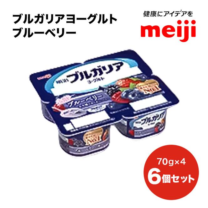 ブルガリア ヨーグルト ブルーベリー フルーツ 乳製品 発酵食品 合計1800g