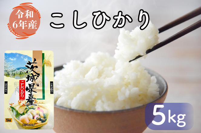 FG-7　お米好き必見！ ７日以内に発送！！【令和６年産】茨城県の恵み こしひかり5kg（5kg×1袋） ～茨城県自慢のこしひかり～　茨城県 行方市 新鮮 おいしい お米 送料無料 白米 精米 国産 ごはん ご飯 白飯 ゴハン ごはんのおとも