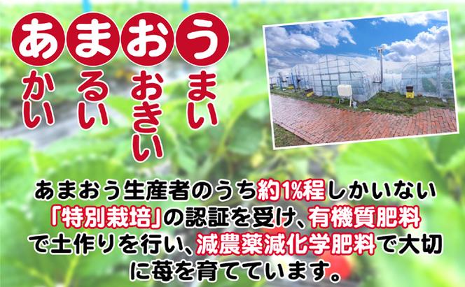 いちご あまおう サイズ いろいろ 3パック（約855g）朝倉限定 イチゴ 苺 果物 フルーツ 配送不可：離島