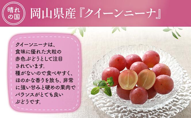 【2025年先行予約】 ぶどう 岡山県産 クイーンニーナ （ 種無し ）約2kg（3～5房） 《2025年9月上旬-下旬頃出荷》 葡萄 ブドウ フルーツ 果物 スイーツ 数量限定 期間限定 岡山 里庄町