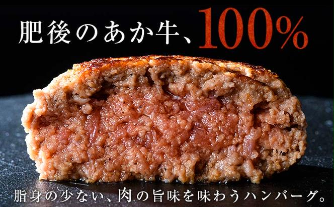 FKK19-219_あか牛100％ハンバーグ（100g×10個） 熊本県 嘉島町