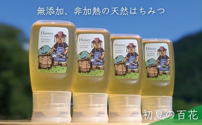合計1200g 天然蜂蜜 国産蜂蜜 非加熱 生はちみつ 岐阜県 美濃市産 初夏 (蜂蜜300g入りピタッとボトル4本セット)B12