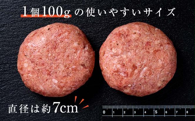 FKK19-268_あか牛100％ハンバーグ（100g×20個） 熊本県 嘉島町