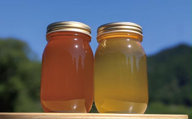 合計1200g 天然蜂蜜 国産蜂蜜 非加熱 生はちみつ 岐阜県 美濃市産 味比べ 蜂蜜600g入りガラス瓶 2本セットC3