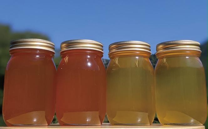合計2400g 天然蜂蜜 国産蜂蜜 非加熱 生はちみつ 岐阜県 美濃市産 味比べ 蜂蜜600g入りガラス瓶 4本セットC4
