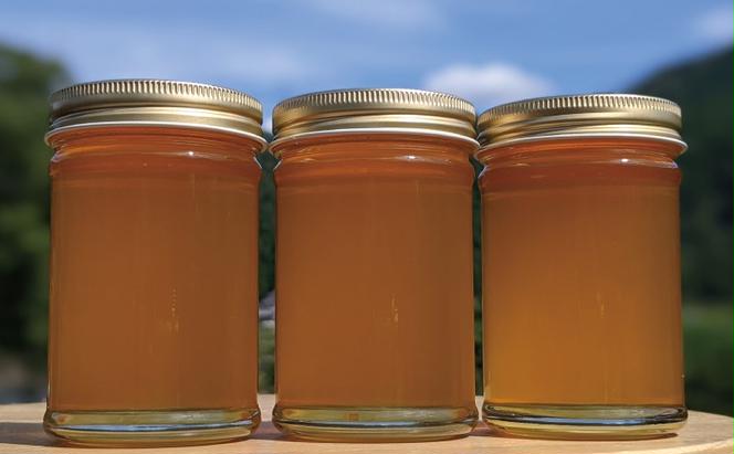 合計690g 天然蜂蜜 国産蜂蜜 非加熱 生はちみつ 岐阜県 美濃市産 春 (蜂蜜230g入りガラス瓶3本セット)A3