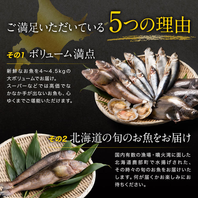 【2025年5月下旬発送】【緊急支援品】北海道 冷凍鮮魚セット 最大4.5kg 「漁師応援プロジェクト！」 下処理済み 4～5種 ホタテが必ず入る おまかせ セット 事業者支援 中国禁輸措置 鮮魚 魚 魚介 訳あり セット 詰め合わせ 期間限定
