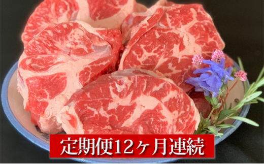 【定期便】【国産】牛スネ肉 500g×2 12ヶ月連続お届け