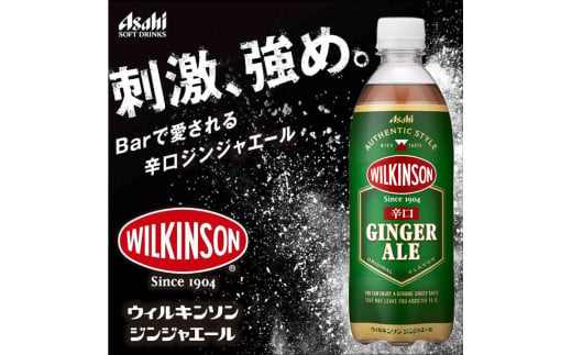 ウィルキンソン タンサン ジンジャーエール ペットボトル　500ml ×24本（1ケース）| 炭酸水 炭酸 辛口　刺激、強め　強炭酸　　酒のみらい　mirai