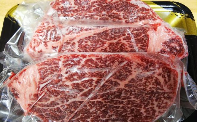 ステーキ ヒレ GI認証 くまもと あか牛 300g 赤牛 牛肉 肉 お肉 にく ニク 熊本 ブランド 和牛 BBQ バーベキュー