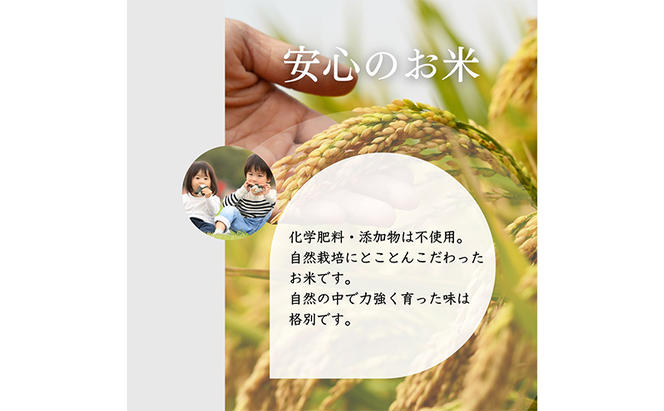 【特別優秀賞、料理王国100選】令和6年 長野県産 ミルキークイーン、いのちの壱　食べ比べセット（5キロ×2袋・無洗米）