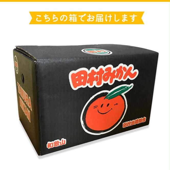 AB7126_【和歌山特産品】【プレミアムブランド】絶品！ 田村みかん 3kg (2Sサイズ)