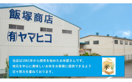 令和5年産 茨城ひとめぼれ 5kg 1袋 ひとめぼれ 白米 精米 ごはん お米 国産 茨城県産 守谷市 送料無料