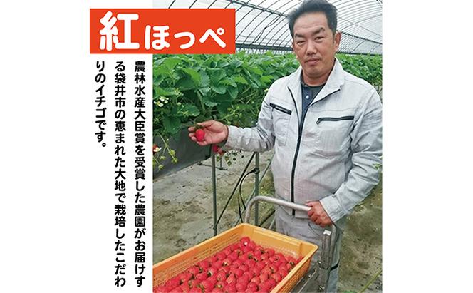 【配達地域限定】農水大臣賞受賞農園からお届け イチゴ大粒・紅ほっぺ ２パック  配送:2025年1月下旬頃より順次発送