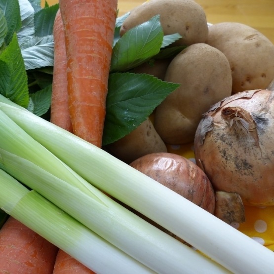 BI-12 6ヵ月定期便「自然栽培野菜」10～12品目（3月4月は白米または玄米5kg）