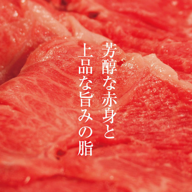 牛肉 京都もり牛 切り落とし スライス 600g 京都府産 国産 国産牛 和牛 黒毛和牛 焼き肉 焼肉 BBQ バーベキュー カレー 牛丼 鍋 お肉 牛 肉 ブランド ギフト 冷凍 京都