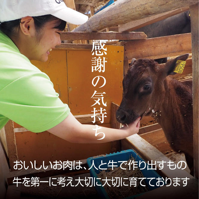 牛肉 京都もり牛 切り落とし スライス 600g 京都府産 国産 国産牛 和牛 黒毛和牛 焼き肉 焼肉 BBQ バーベキュー カレー 牛丼 鍋 お肉 牛 肉 ブランド ギフト 冷凍 京都