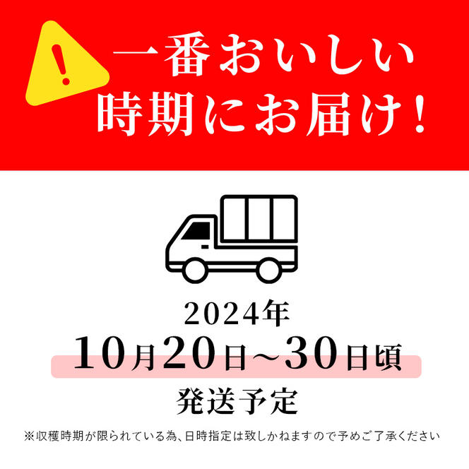 志賀高原の麓で育った シナノスイート （家庭用）約10kg 【 りんご 10kg フルーツ 果物 長野県 長野 】