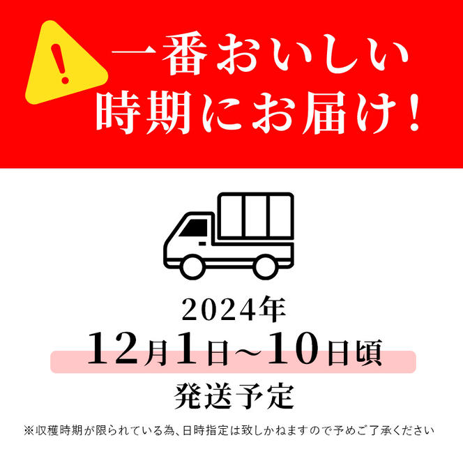 志賀高原の麓で育った サンふじ （家庭用）約10kg 【 りんご 10kg フルーツ 果物 デザート 長野 】