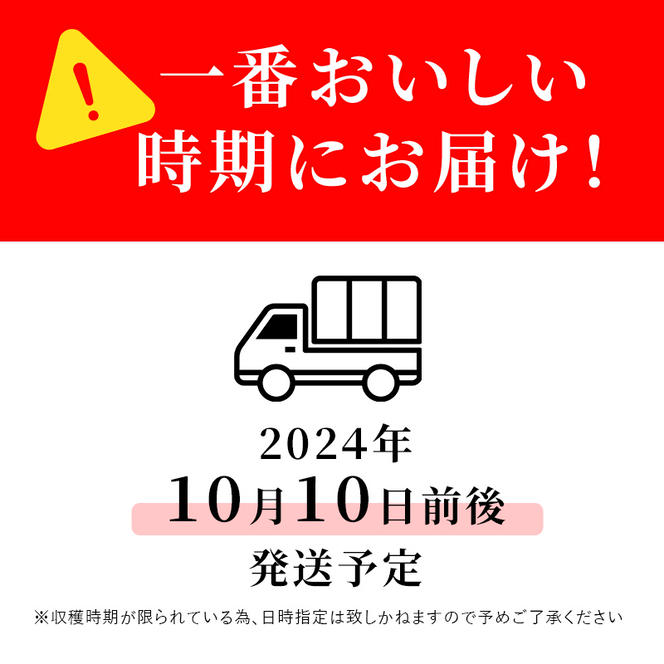 志賀高原の麓で育った 秋映 （家庭用）約10kg 【 りんご 10kg フルーツ 果物 デザート おやつ 長野県 長野 】