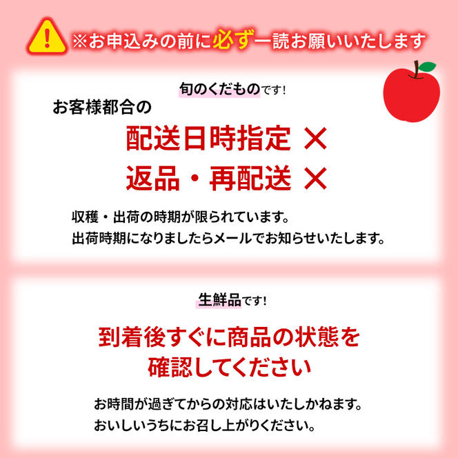 志賀高原の麓で育った 秋映 （家庭用）約10kg 【 りんご 10kg フルーツ 果物 デザート おやつ 長野県 長野 】