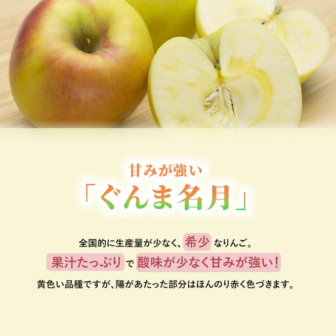 志賀高原の麓で育った ぐんま名月 秀18玉 約5kg 【 りんご 5kg フルーツ 果物 デザート 長野 】