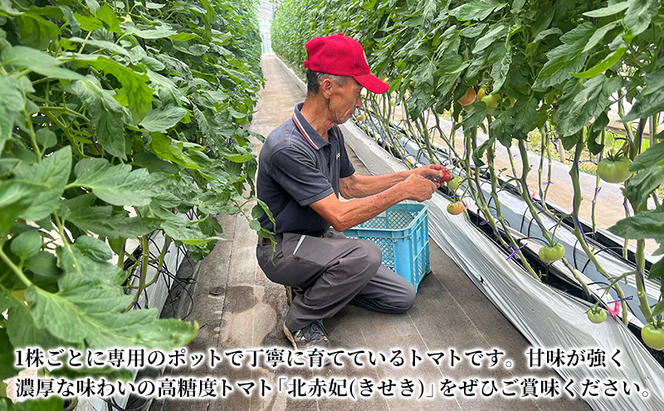 北海道伊達市 高糖度 トマト 北赤妃 きせき 約1kg  5箱 Mサイズ 計5kg