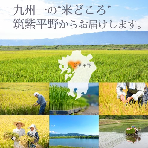 米 10kg 元気つくし 福岡県産 特A評価 お米 5kg×2袋 白米 コメ 福岡県