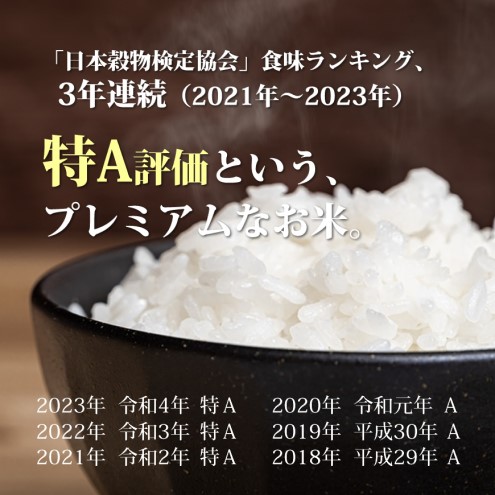 米 10kg 元気つくし 福岡県産 特A評価 お米 5kg×2袋 白米 コメ 福岡県