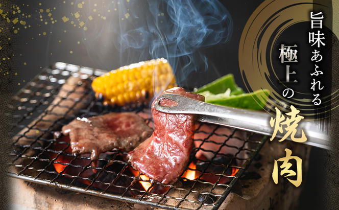 福袋 神戸牛 焼肉 食べ比べ 3種 計600g 肩 モモ バラ 焼き肉 牛肉 和牛 焼肉用 キャンプ BBQ 黒毛和牛 お肉 冷凍 帝神志方
