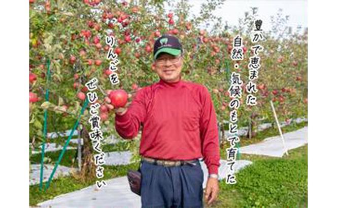 【糖度保証】ヒバリノ園の【紅虎】あどはだり葉とらずサンふじ 約5kg（14～18玉）青森県鰺ヶ沢町産りんご※オンライン決済のみ