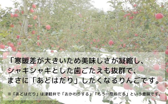 【糖度保証】ヒバリノ園の【紅虎】あどはだり葉とらずサンふじ 約5kg（14～18玉）青森県鰺ヶ沢町産りんご※オンライン決済のみ