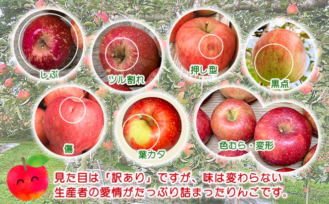 【糖度保証】ヒバリノ園の【紅虎】あどはだり葉とらずサンふじ 約5kg（14～18玉）青森県鰺ヶ沢町産りんご※オンライン決済のみ