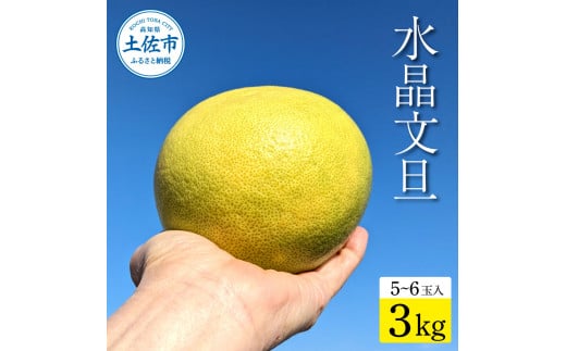 土佐市産 水晶文旦 約3kg (5～6玉）文旦 ぶんたん ブンタン すいしょうぶんたん ハウス栽培 甘い 高級 果物 柑橘 フルーツ 果物 ご当地 お取り寄せ ３キロ 贈答 ギフト