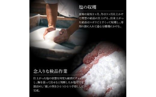 銀象ソルト Ginzo-Salt Standard 100g 塩 しお 調味料 天日塩 完全天日塩 国産 高知県産 ソルト ミネラル 健康 料理 調理 お塩 塩 美味しい